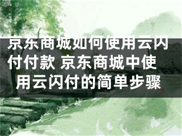 京東商城如何使用云閃付付款 京東商城中使用云閃付的簡(jiǎn)單步驟