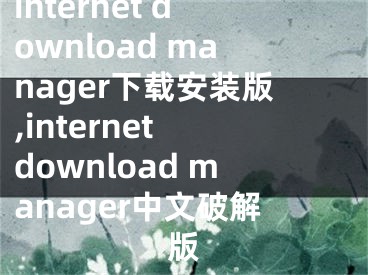 internet download manager下載安裝版,internet download manager中文破解版