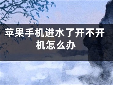 蘋果手機進水了開不開機怎么辦