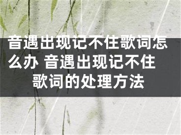 音遇出現(xiàn)記不住歌詞怎么辦 音遇出現(xiàn)記不住歌詞的處理方法