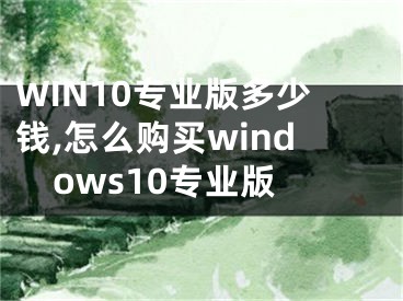 WIN10專業(yè)版多少錢,怎么購(gòu)買windows10專業(yè)版