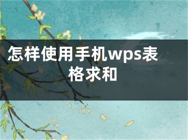 怎樣使用手機(jī)wps表格求和