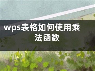 wps表格如何使用乘法函數(shù)