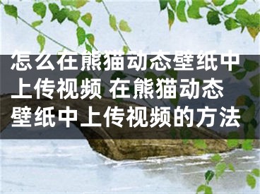 怎么在熊貓動態(tài)壁紙中上傳視頻 在熊貓動態(tài)壁紙中上傳視頻的方法