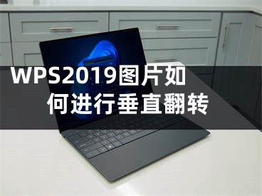 WPS2019圖片如何進行垂直翻轉(zhuǎn)