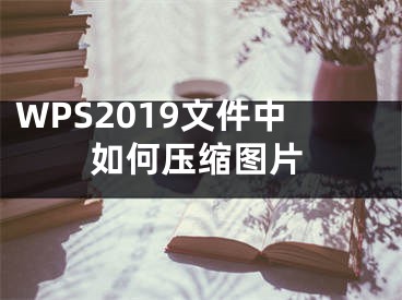 WPS2019文件中如何壓縮圖片