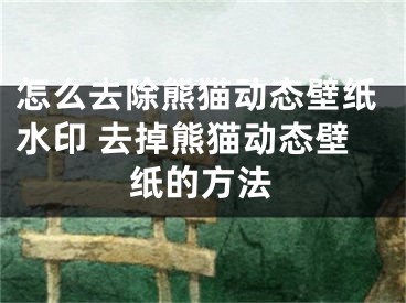 怎么去除熊貓動(dòng)態(tài)壁紙水印 去掉熊貓動(dòng)態(tài)壁紙的方法