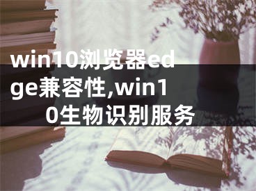 win10瀏覽器edge兼容性,win10生物識別服務(wù)