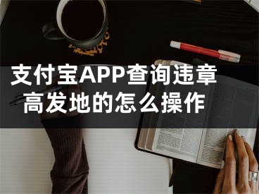 支付寶APP查詢違章高發(fā)地的怎么操作 