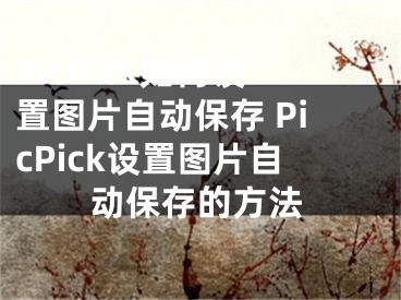 PicPick如何設(shè)置圖片自動保存 PicPick設(shè)置圖片自動保存的方法