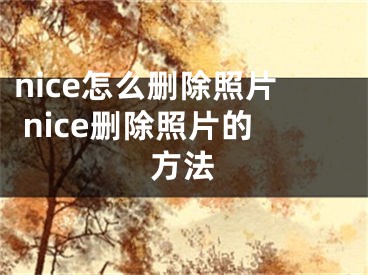 nice怎么刪除照片 nice刪除照片的方法