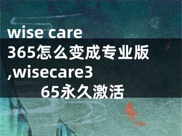 wise care 365怎么變成專業(yè)版,wisecare365永久激活