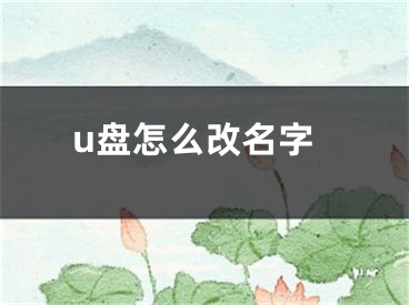 u盤(pán)怎么改名字