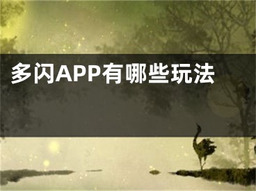 多閃APP有哪些玩法 