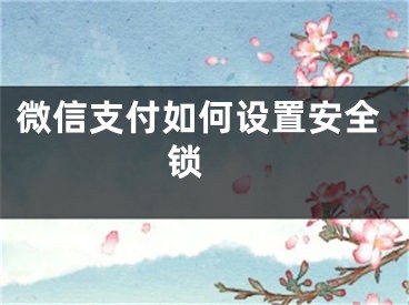 微信支付如何設(shè)置安全鎖 