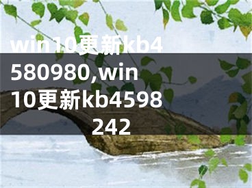 win10更新kb4580980,win10更新kb4598242