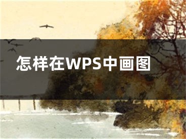 怎樣在WPS中畫圖