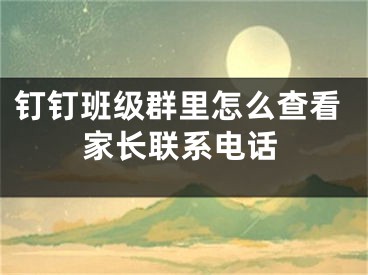 釘釘班級群里怎么查看家長聯(lián)系電話