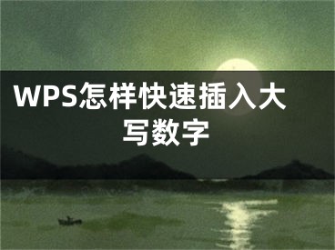 WPS怎樣快速插入大寫數(shù)字