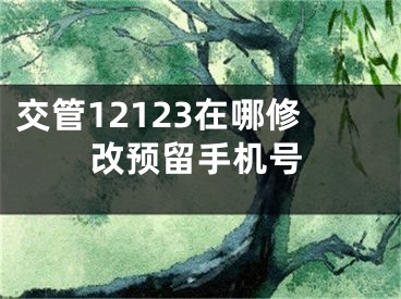 交管12123在哪修改預(yù)留手機號