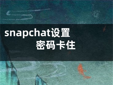 snapchat設(shè)置密碼卡住