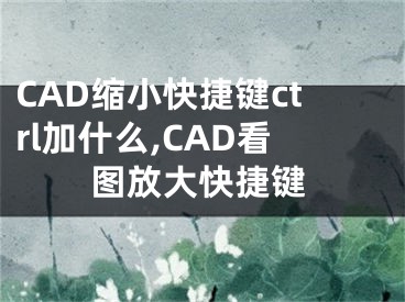 CAD縮小快捷鍵ctrl加什么,CAD看圖放大快捷鍵