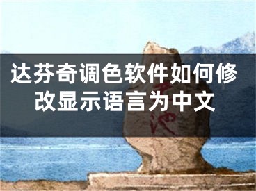 達(dá)芬奇調(diào)色軟件如何修改顯示語(yǔ)言為中文