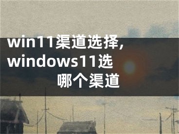 win11渠道選擇,windows11選哪個(gè)渠道