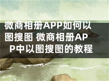 微商相冊APP如何以圖搜圖 微商相冊APP中以圖搜圖的教程