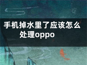 手機掉水里了應該怎么處理oppo