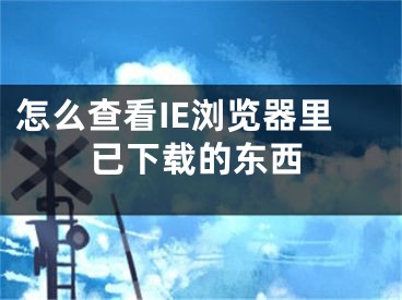 怎么查看IE瀏覽器里已下載的東西