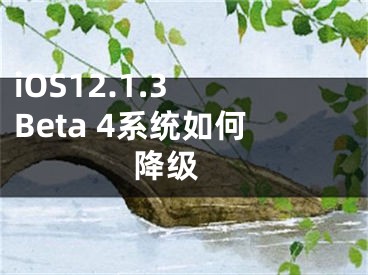 iOS12.1.3 Beta 4系統(tǒng)如何降級 