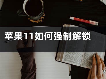 蘋果11如何強(qiáng)制解鎖