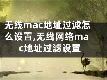 無(wú)線mac地址過(guò)濾怎么設(shè)置,無(wú)線網(wǎng)絡(luò)mac地址過(guò)濾設(shè)置