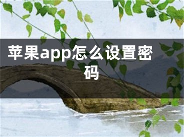 蘋果app怎么設(shè)置密碼