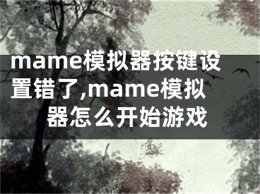 mame模擬器按鍵設(shè)置錯(cuò)了,mame模擬器怎么開始游戲