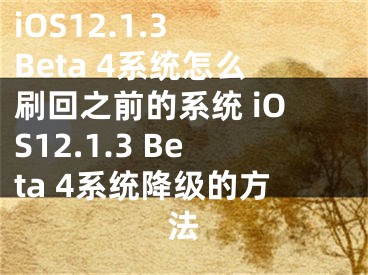 iOS12.1.3 Beta 4系統(tǒng)怎么刷回之前的系統(tǒng) iOS12.1.3 Beta 4系統(tǒng)降級(jí)的方法