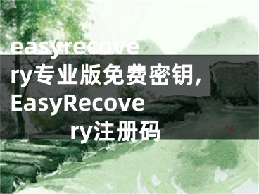 easyrecovery專業(yè)版免費(fèi)密鑰,EasyRecovery注冊碼