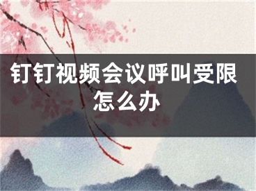 釘釘視頻會(huì)議呼叫受限怎么辦