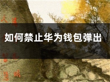 如何禁止華為錢(qián)包彈出