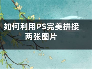 如何利用PS完美拼接兩張圖片 