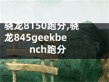 驍龍8150跑分,驍龍845geekbench跑分