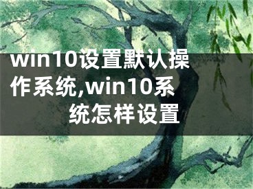 win10設(shè)置默認(rèn)操作系統(tǒng),win10系統(tǒng)怎樣設(shè)置