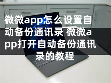 微微app怎么設(shè)置自動(dòng)備份通訊錄 微微app打開自動(dòng)備份通訊錄的教程