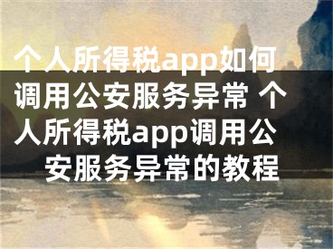 個(gè)人所得稅app如何調(diào)用公安服務(wù)異常 個(gè)人所得稅app調(diào)用公安服務(wù)異常的教程