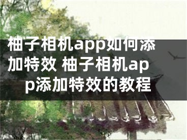 柚子相機(jī)app如何添加特效 柚子相機(jī)app添加特效的教程