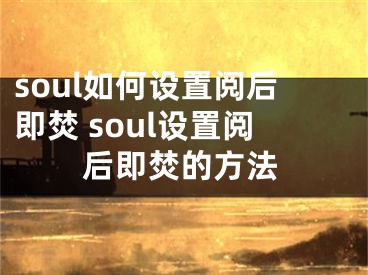 soul如何設(shè)置閱后即焚 soul設(shè)置閱后即焚的方法