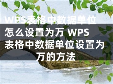 WPS表格中數(shù)據(jù)單位怎么設(shè)置為萬 WPS表格中數(shù)據(jù)單位設(shè)置為萬的方法