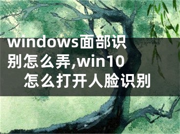 windows面部識別怎么弄,win10怎么打開人臉識別