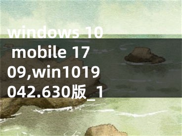 windows 10 mobile 1709,win1019042.630版_1